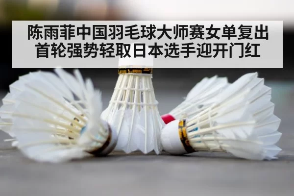 badminton court shuttlecock